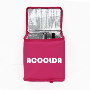 OEM/ODM Factory China Waterproof Foldable Take-out Food Delivery Bag Insulated Custom Thermal Bag 25L ACD-B-041