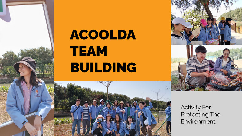 Why Acoolda organized a team-building activity for protecting the environment?