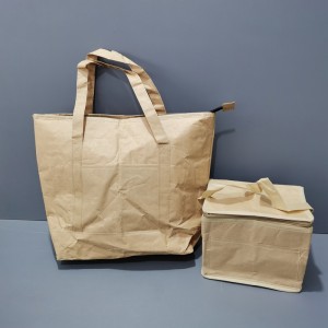 Custom Tyvek Insulated Food Cooler Bag Tote Bag Ecofriendly Cooler Bag,Enviromental Cooler Bags ACD-CW-004