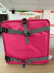 500D Food Panda Motorbike Delivery Bag Backpack Style With Insulation ACD-B-150