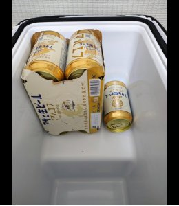 FrozenPack: 20L Capacity, 15-Minute Rapid Cooling, Your Ultimate Portable Fridge for On-the-Go